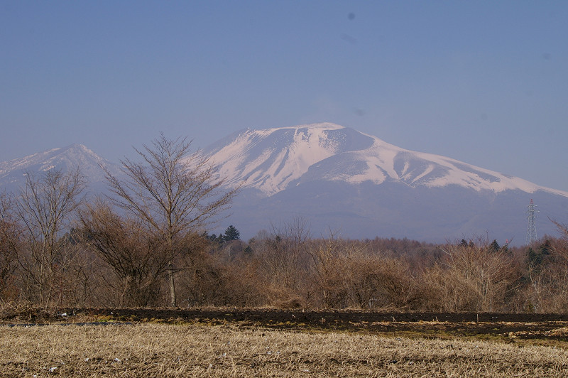 e0136424_13465097.jpg