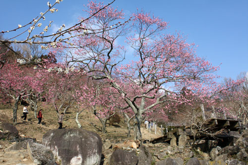 f0147025_1842456.jpg