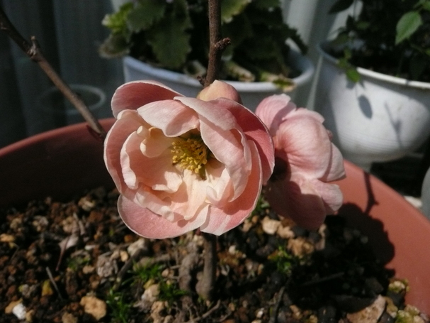 e0033229_22181935.jpg