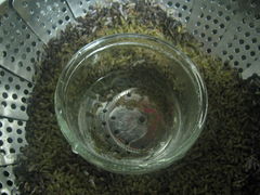c0140230_23253930.jpg