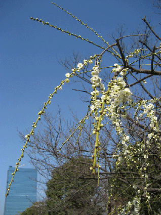 d0048332_20352792.gif
