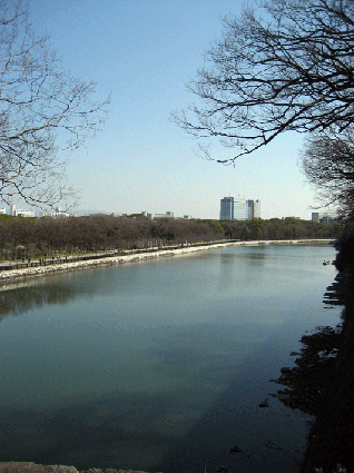 d0048332_20355116.gif