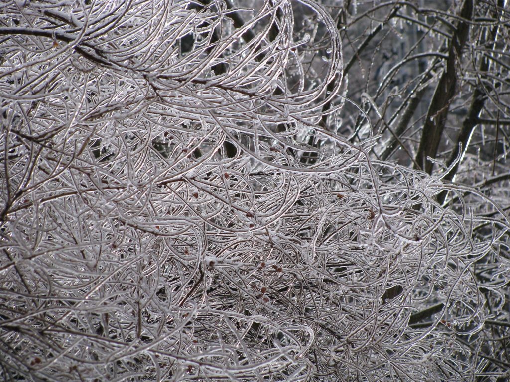f0151044_7145375.jpg