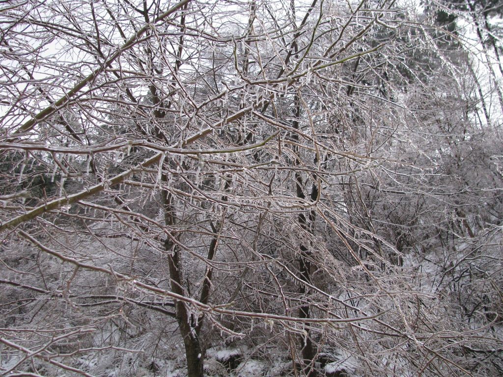 f0151044_7153794.jpg