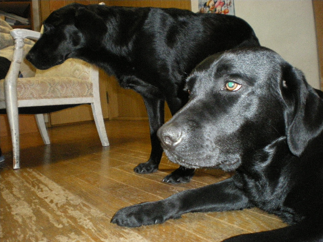 a0167545_13122629.jpg