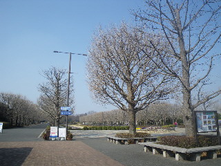 e0069647_19481393.jpg