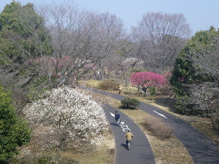 e0069647_19483722.jpg
