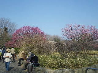 e0069647_1948541.jpg