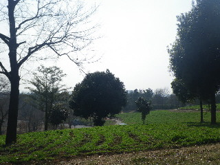 e0069647_214078.jpg