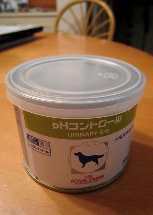 c0043751_2319611.jpg
