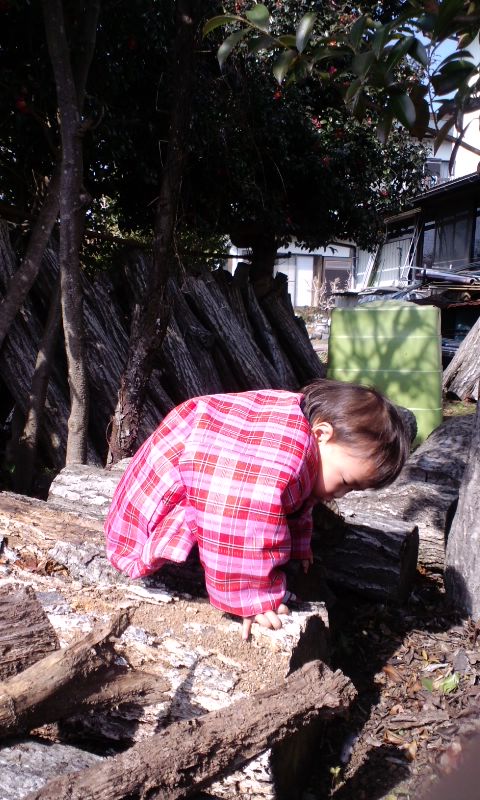f0082659_1332248.jpg