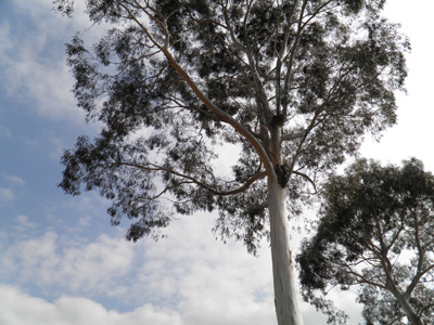 c0122670_236426.jpg