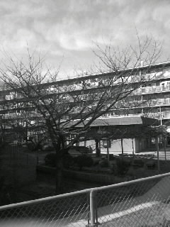 f0100480_22145774.jpg