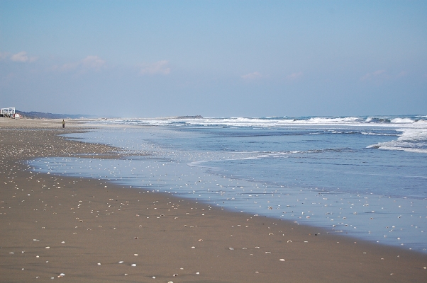 b0143983_9384728.jpg