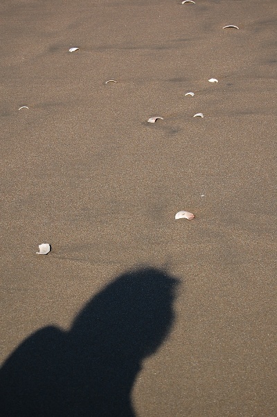 b0143983_9391473.jpg