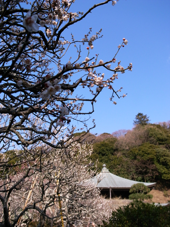 c0188784_103717.jpg