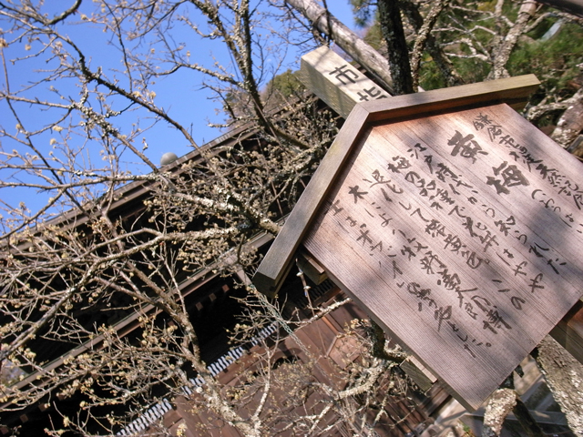 c0188784_1072084.jpg