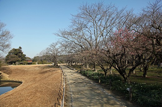 e0190885_22163232.jpg