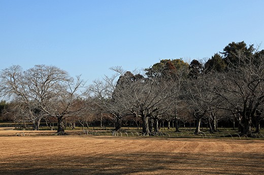 e0190885_22164599.jpg