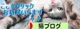 にほんブログ村 猫ブログへ １日１回ポチっと投票♪