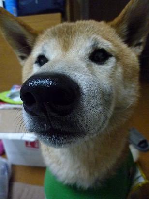 c0123890_20372530.jpg