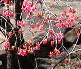 b0134195_1114920.jpg