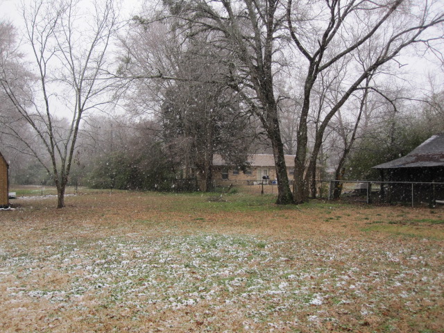 e0171595_734447.jpg