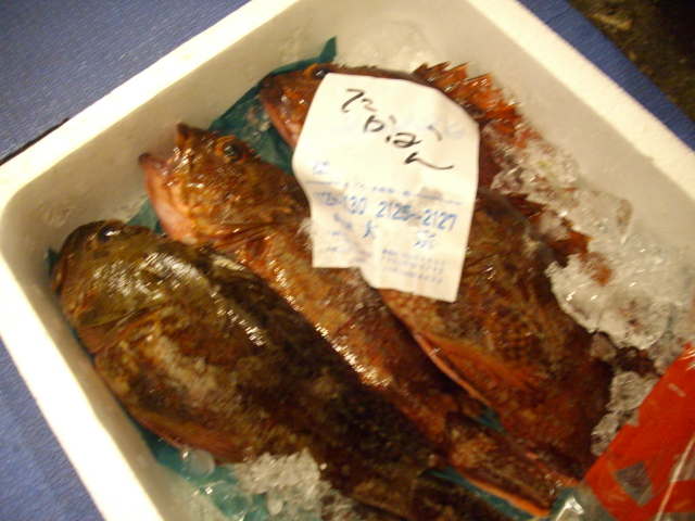 f0084695_1753811.jpg