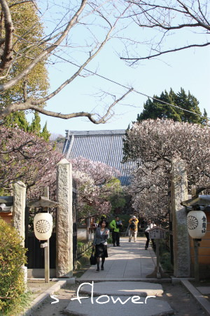 a0101000_22295862.jpg