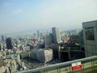 f0215900_1373964.jpg