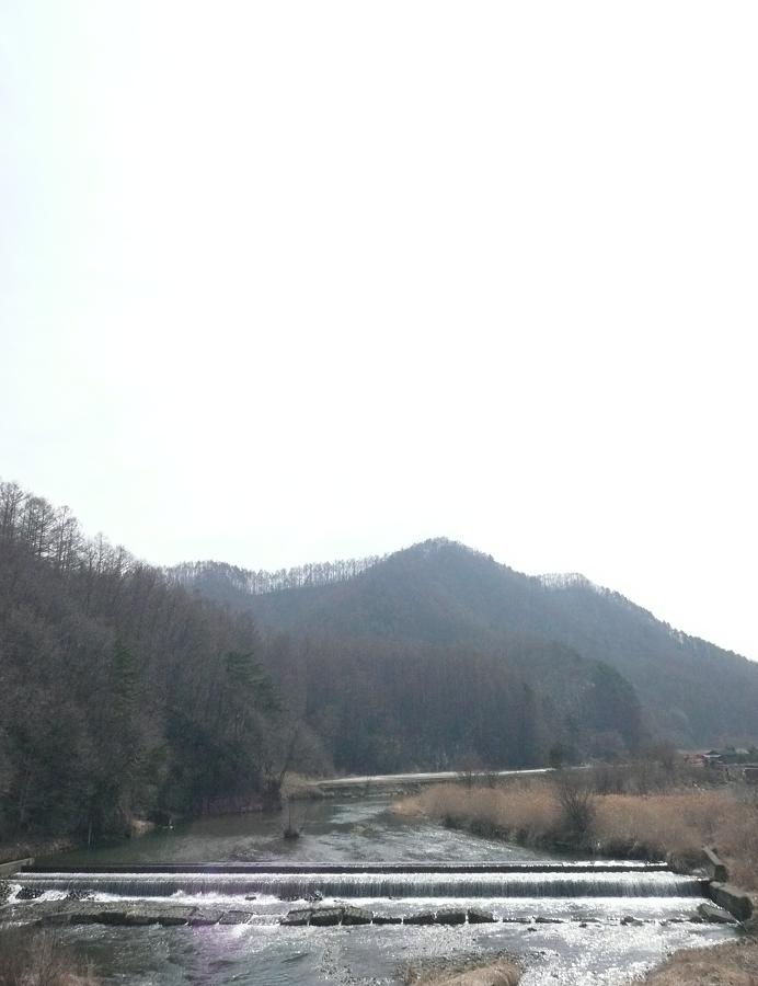 d0126708_20201429.jpg