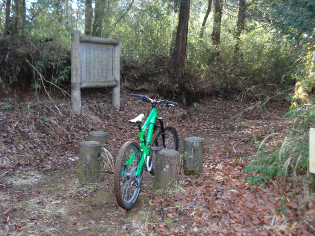 e0015108_10434867.jpg