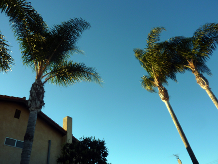 c0148812_111551.jpg