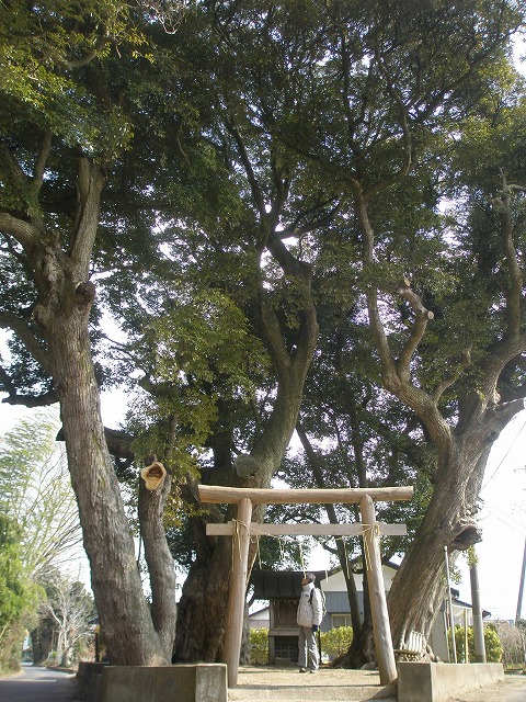 b0138522_1021296.jpg