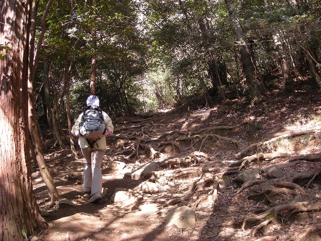 b0138522_8551597.jpg