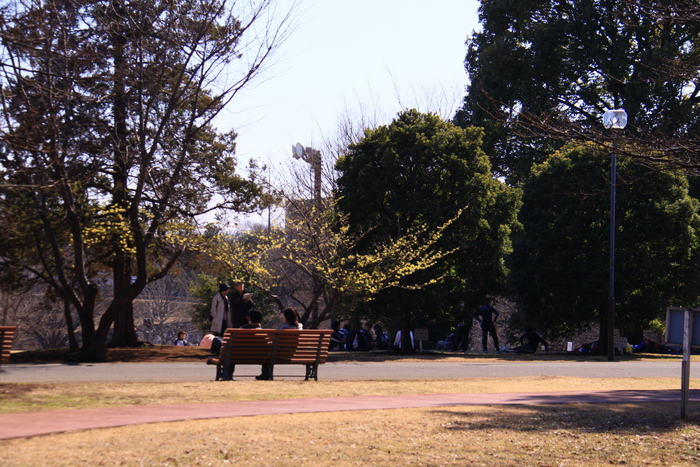 b0165522_20555642.jpg