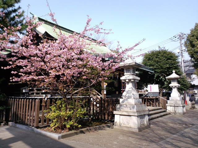 f0217828_11574290.jpg