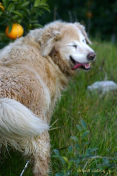 c0134734_23265768.jpg
