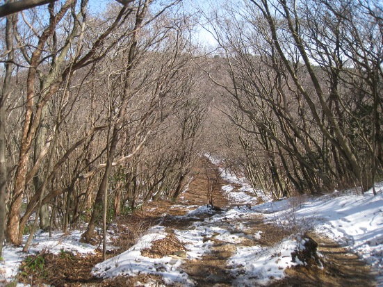 c0077338_0404174.jpg