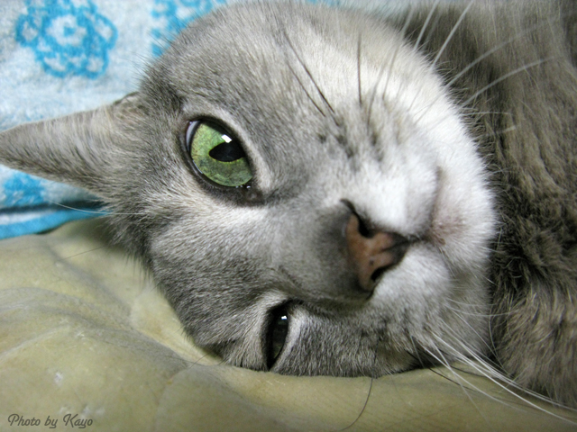 a0117440_1157560.jpg