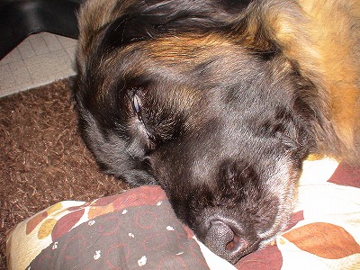 e0023643_2227917.jpg