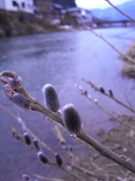 b0165444_21295571.jpg