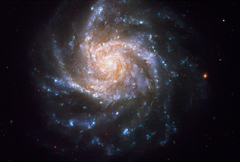 e0005548_2172777.jpg