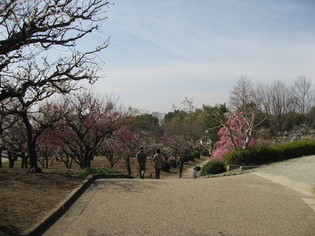 c0073649_17134947.jpg