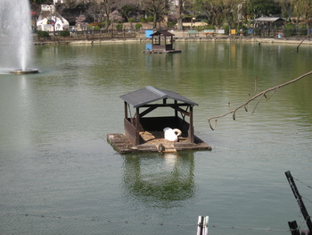 c0073649_17215225.jpg