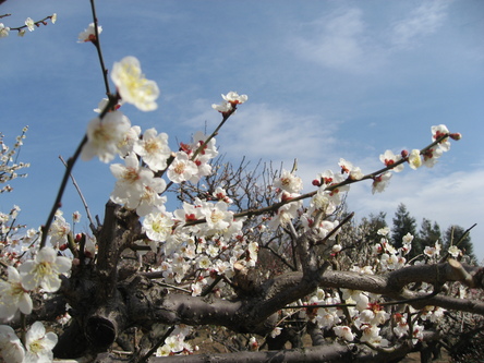 c0073649_1764125.jpg