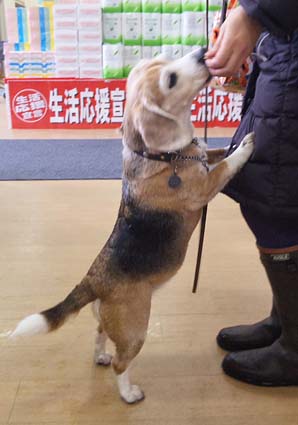a0070350_2134631.jpg