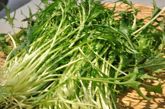 f0207664_9102047.jpg
