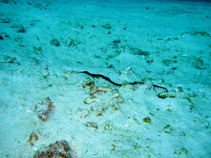 a0002177_22395048.jpg