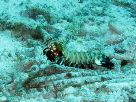 a0002177_22431745.jpg